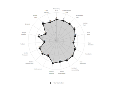 Assessment - subdimensions